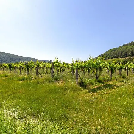 Beautiful In Smarje With Kitchen * Krkavce